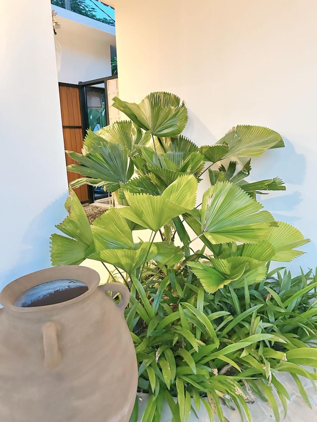 Amerta Villa Seminyak المظهر الخارجي الصورة